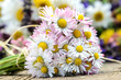 Gänseblümchen-Strauß