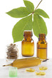 Photo: Phytothérapie & Médicaments naturels Phytothérapie & Médicaments naturels