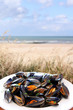 Photo: miesmuscheln am strand miesmuscheln am strand