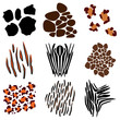 Vector Set of Animal Print Swatches