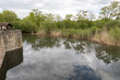 Etang et remparts