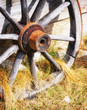 old wheel