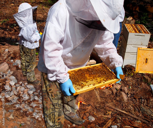 Photo: The Beekeepers The Beekeepers