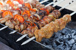 Appetizing fresh meat shish kebab (shashlik) prepared on a grill
