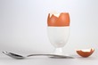Frühstücksei04
