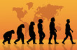 Human evolution