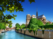 Notre Dame Paris, France