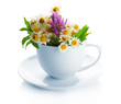 Beautiful Wild Flowers And Min...