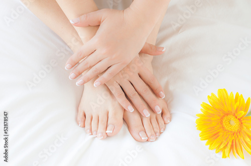 Photo: Woman's hands and feet after a beauty treatment Woman's hands and feet after a beauty treatment