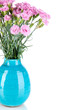 Many small pink cloves in blue vase isolated on white