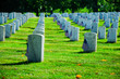 Arlington National Cemetery in Memorial day