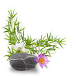 Foto: bambou, fleurs de lotus et galet zen bambou, fleurs de lotus et galet zen