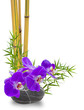 Foto: bambou, orchidée et galet zen bambou, orchidée et galet zen