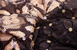 Black fabric with ornament