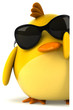 Fun bird