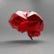 Brain