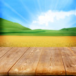 Agriculture Background With Wo...
