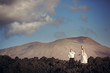 Bride and groom on the volcanic landscape background.
