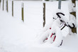 Schneemassen