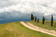 Photo: Tuscan clouds and cypress trees Tuscan clouds and cypress trees