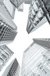 Skyscrapers and office buildings perspective