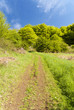 canvas print picture - On the Hiking Trail Eifelsteig