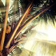 Nature-48 Nature-48