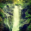 Nature-64