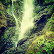 Nature-65