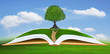 big tree on open book with blue sky background