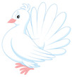 Vector: White pigeon White pigeon