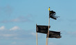black flags