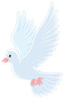 Vector: White pigeon flying White pigeon flying