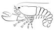 Lobster silhouette isolated on white