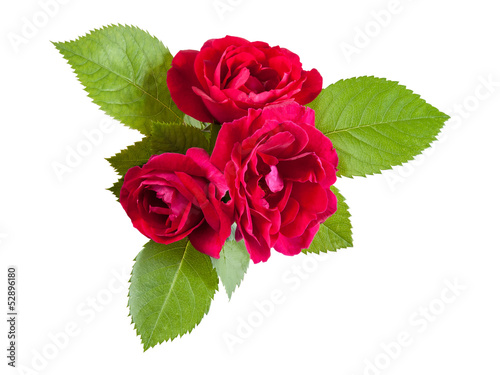 Photo: Red rose flowers with leaves Red rose flowers with leaves