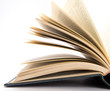 Antique Book Pages Fanned Out