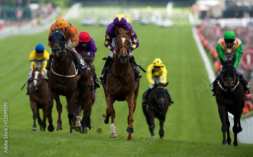 Photo: Horse Racing Horse Racing