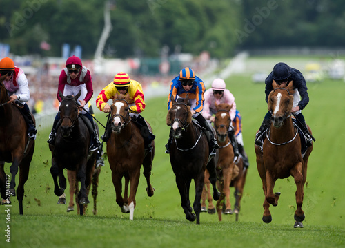 Photo: Horse Racing Horse Racing