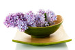 Lilac branch for spa a bowl of bamboo