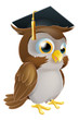Graduate Owl