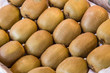 Kiwi in einer Kiste aufgereiht