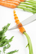 Carrot