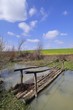 Wooden pathway over a flooded canal
