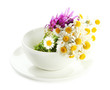 Beautiful Wild Flowers In .cup... Beautiful Wild Flowers In .cup...
