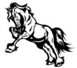 Vector: draft horse in motion black white draft horse in motion black white