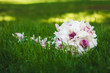 canvas print picture - beautiful wedding bouquet on the green grass