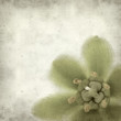textured old paper background