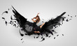 Woman floating   on dark wings