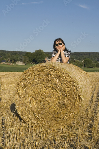 Photo: Dans la campagne ensoleillée Dans la campagne ensoleillée