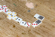 Row of Dominoes in a Table